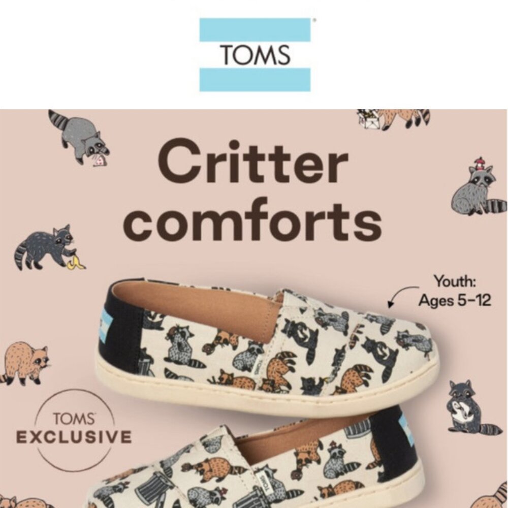 Toms Limited Edition Alpargata Raccoon Print Shoes- Size Youth 12 - NWOT - Picture 1 of 10